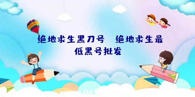 「绝地求生黑刀号」|绝地求生最低黑号批发